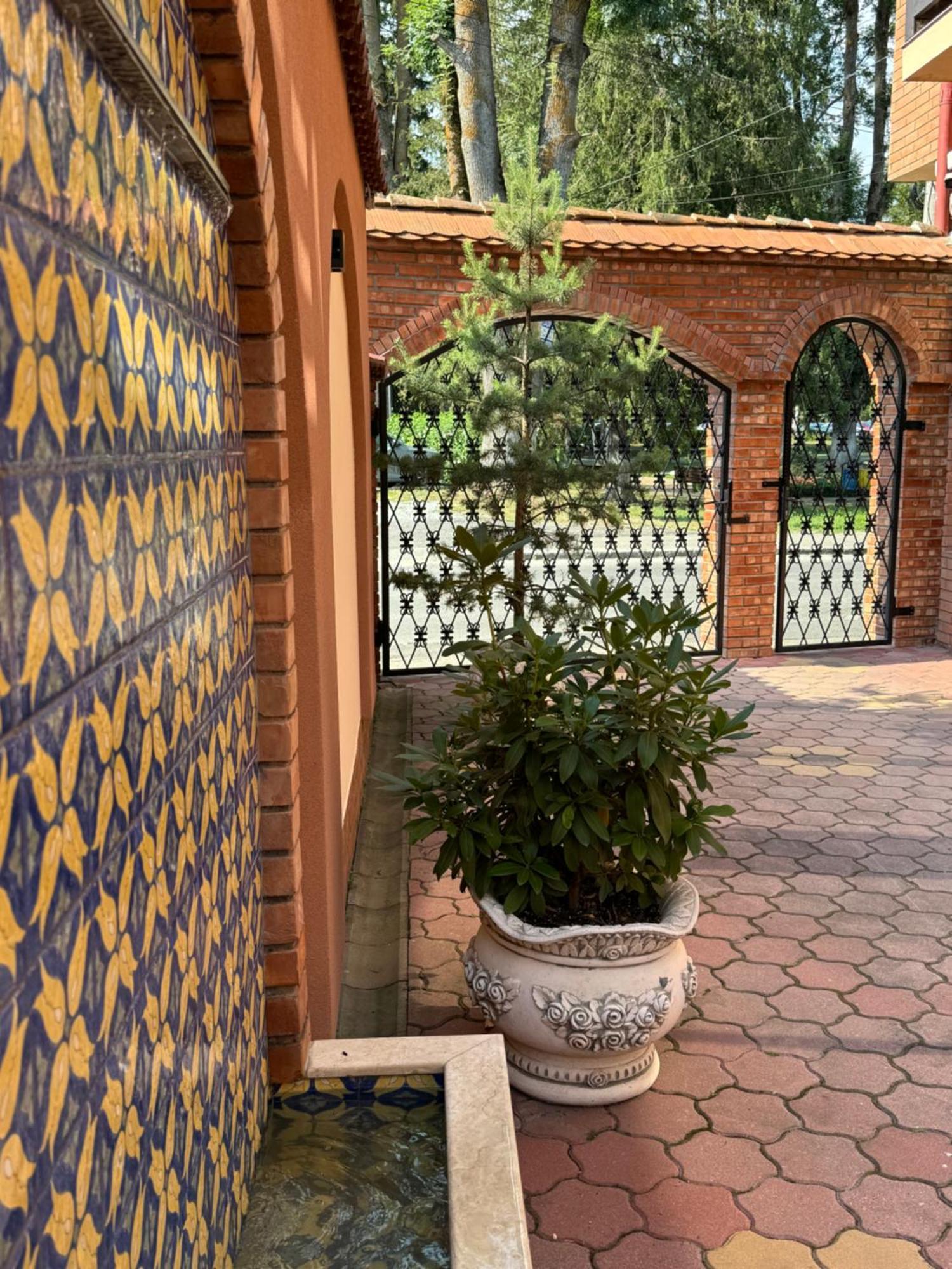 Vila Luminita Singeorz-Bai Exterior foto